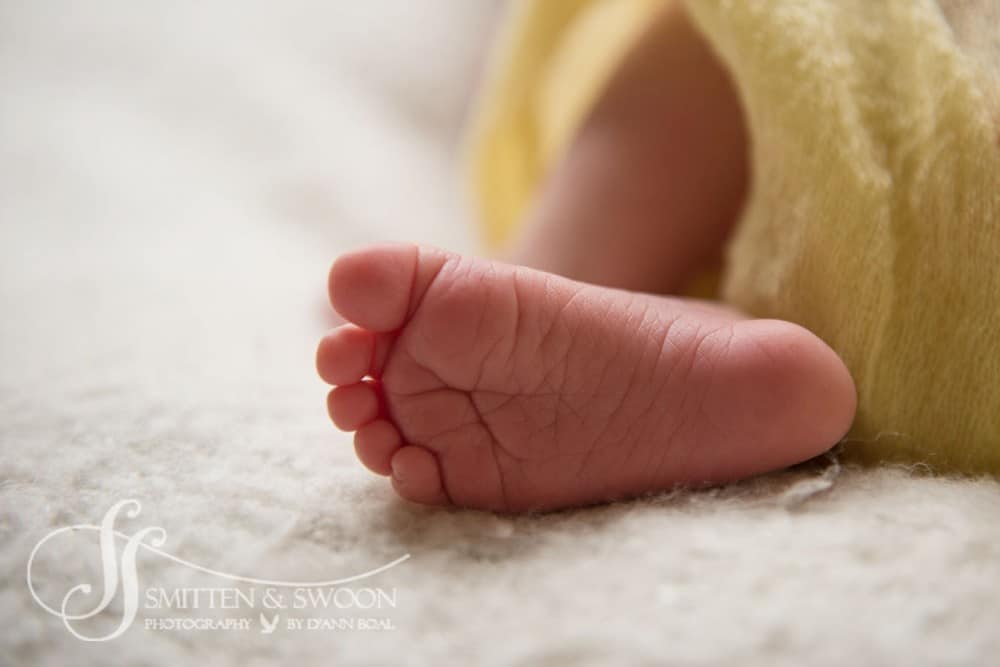 macro baby toes {boulder newborn photographer}
