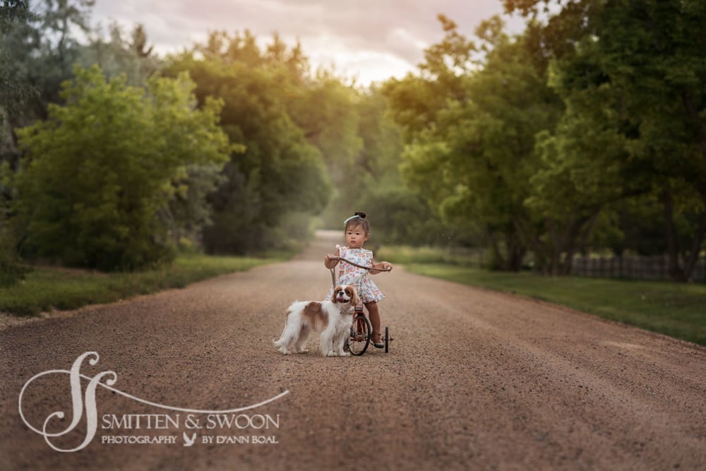 little girl on tricycle with her puppy on dirt road {boulder child photographer}