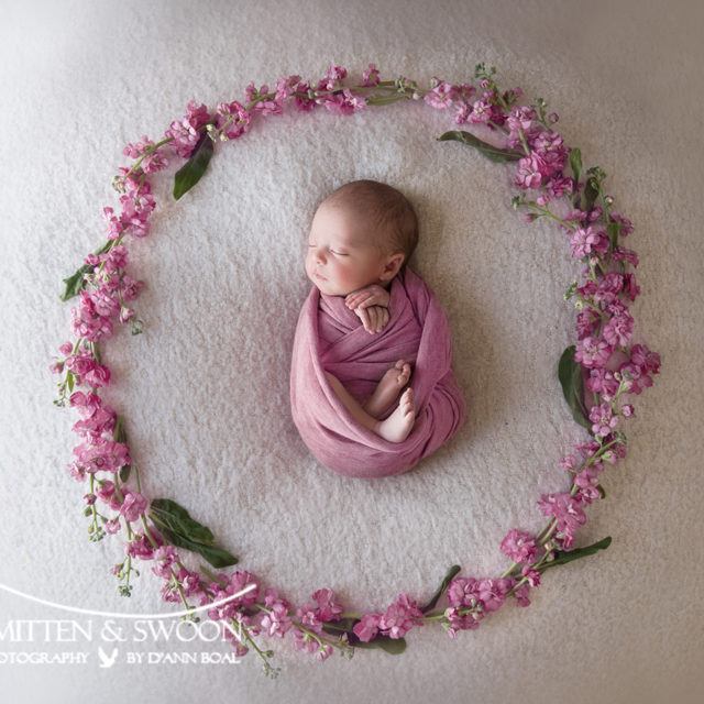 newborn baby girl wrapped in pink with pink circle of flowers boulder newborn photographer