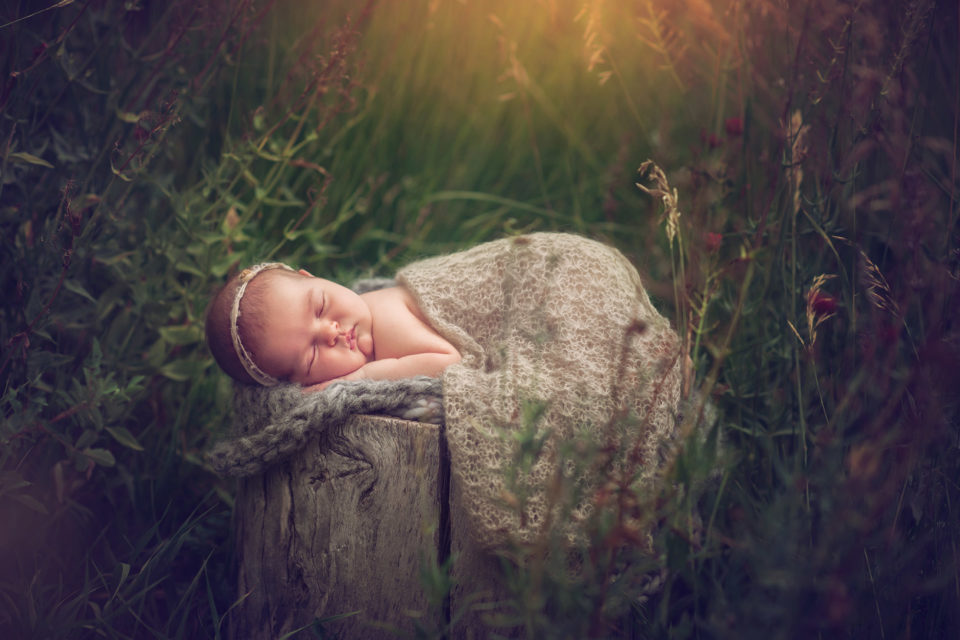 newborn baby girl sleeping in garden Boulder Photographer | Newborn & Maternity Session
